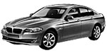 BMW F10 P0D5E Fault Code